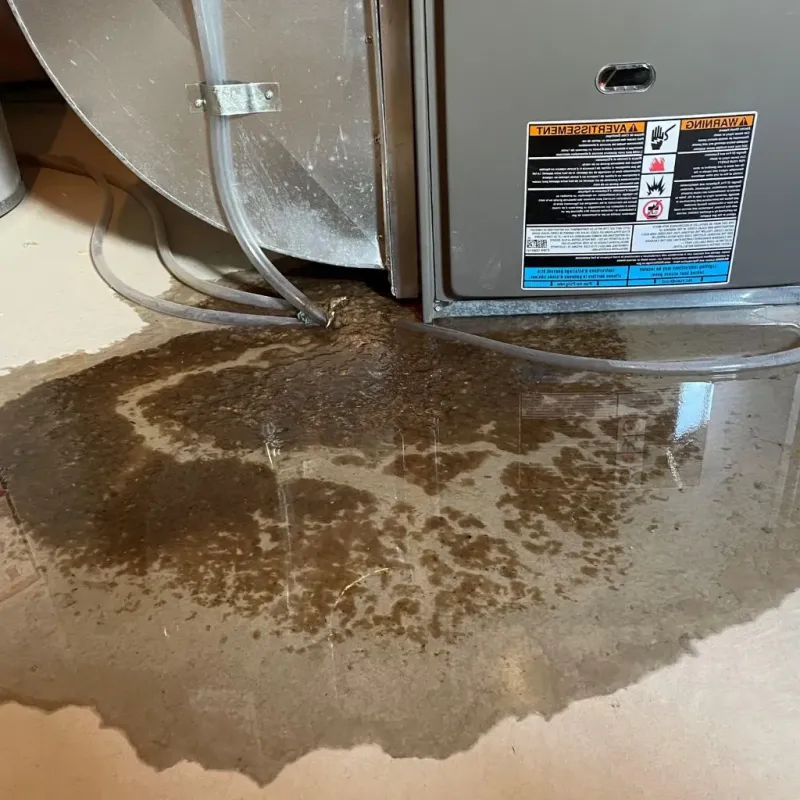 Pipe Burst and Leak Restoration in River Forest, IL